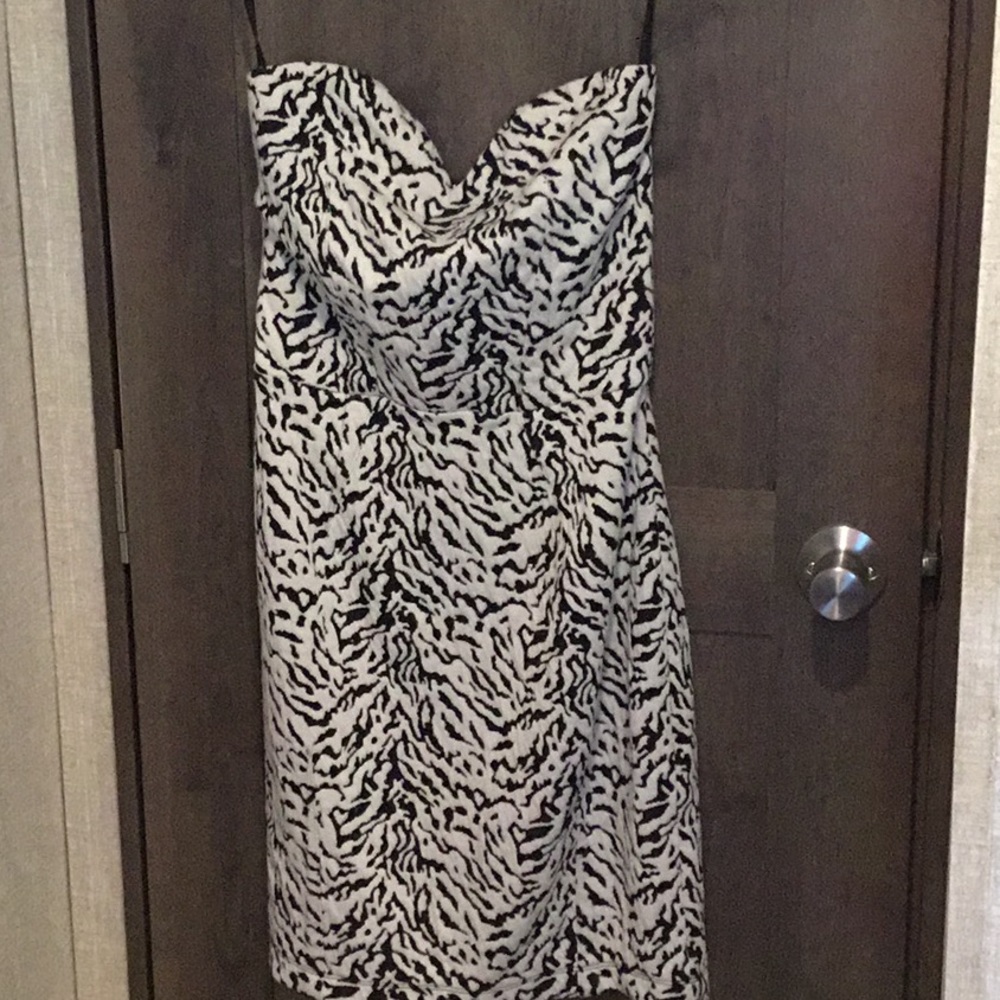 Zebra print Dolce Vita strapless dress
